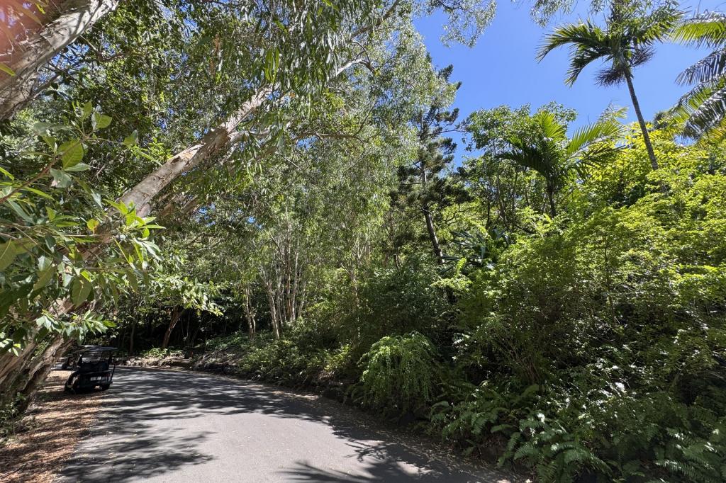 LOT HO/21 MELALEUCA DR, HAMILTON ISLAND, QLD 4803