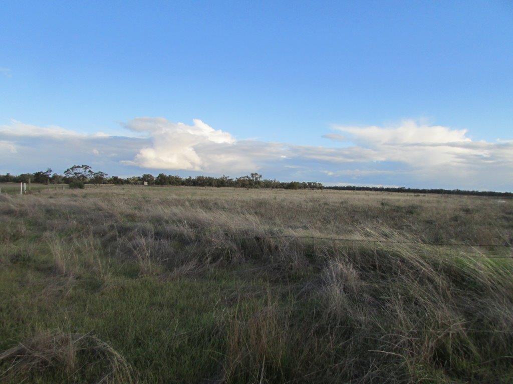  Goyura East Rd, Hopetoun, VIC 3396