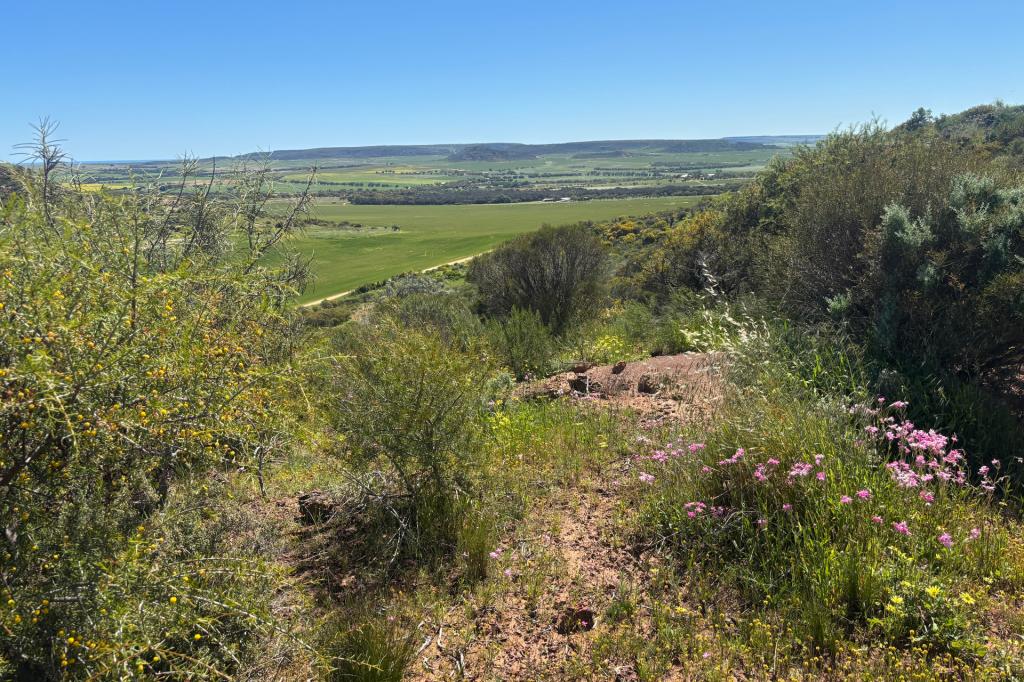 9500 Chapman Valley Rd, Narra Tarra, WA 6532