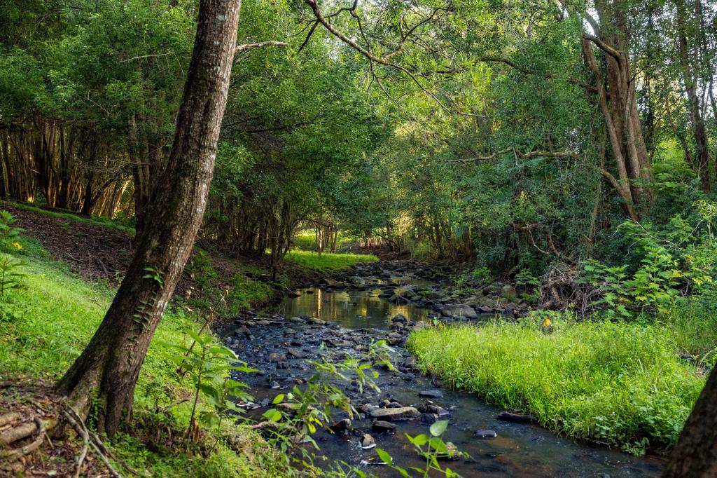 23 Ansell Rd, Witta, QLD 4552