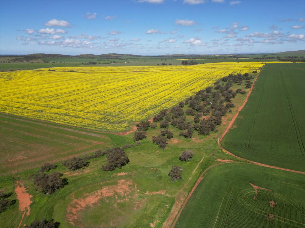 Lot 25 Brownlow Rd, Neales Flat, SA 5374