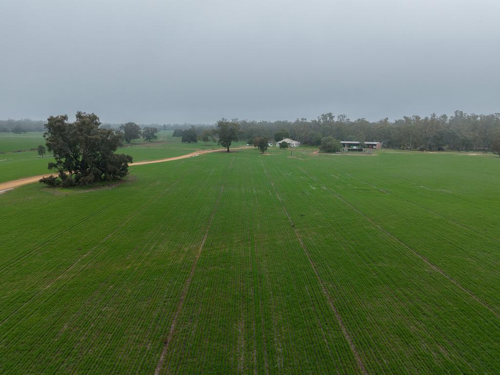 391 Boxdale Rd, Calimo, NSW 2710