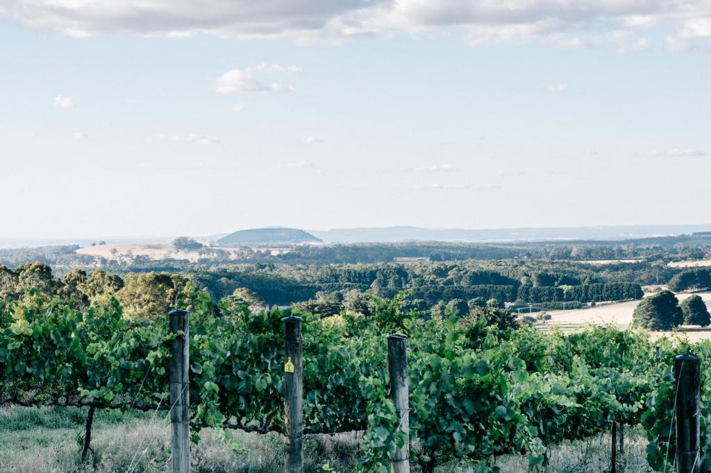 30 Roddas Lane, Musk, VIC 3461