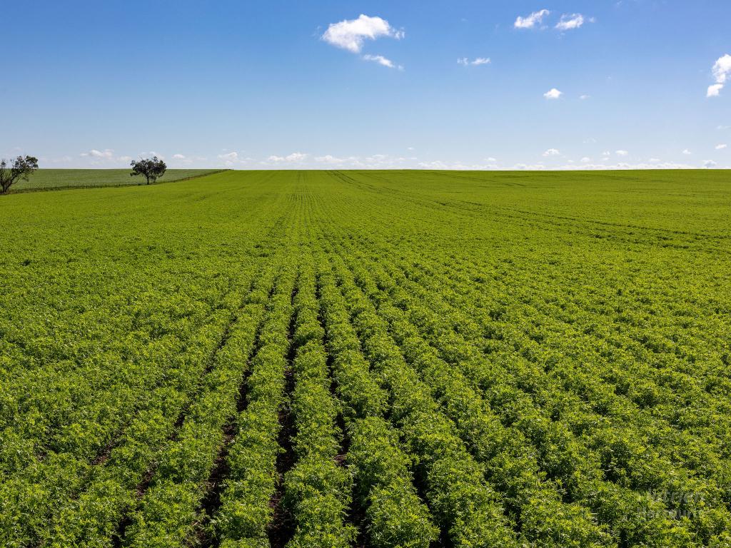 Lot 21 Boundary Rd, Curramulka, SA 5580