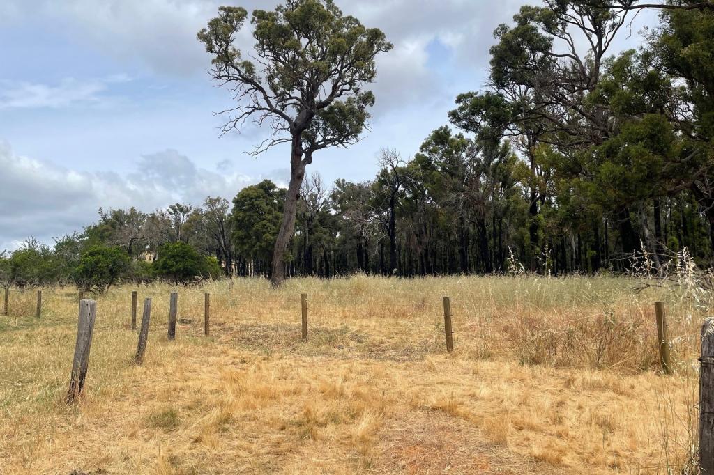 LOT 245 & DONNYBROOK-BOYUP BROOK RD, GLEN MERVYN, WA 6239