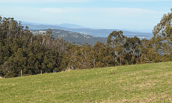 Contact Agent For Address, Allens Rivulet, TAS 7150