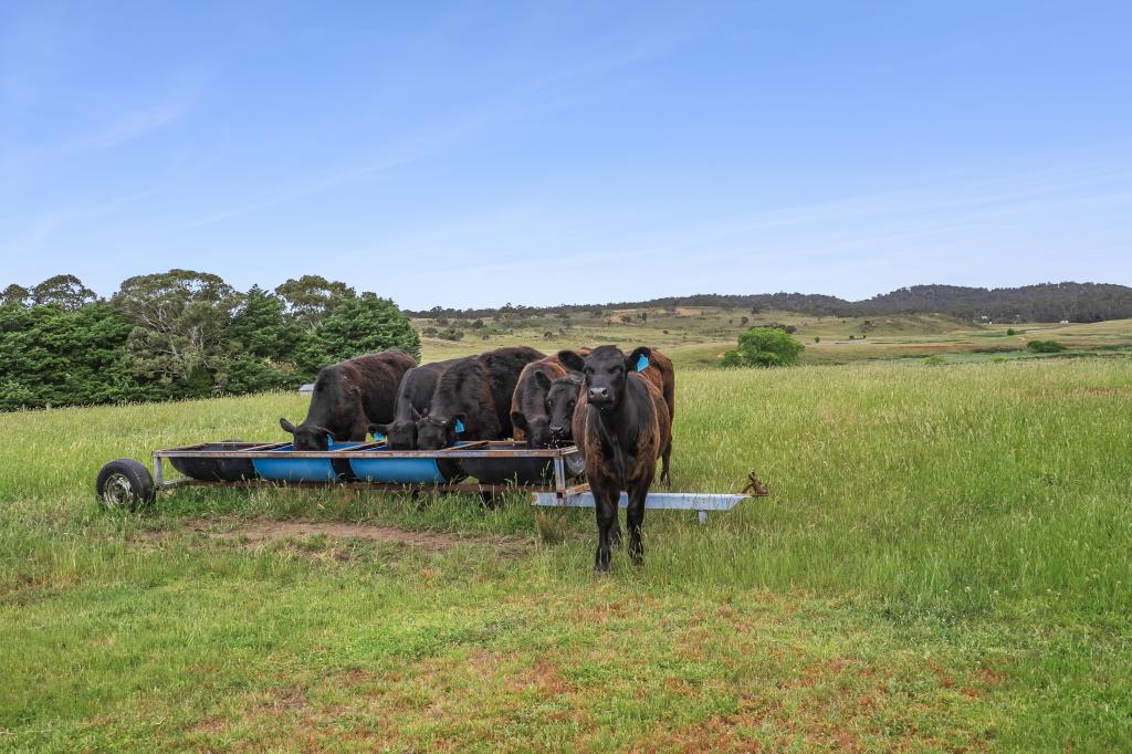3764 Oallen Ford Road Windellama Via, Goulburn, NSW 2580