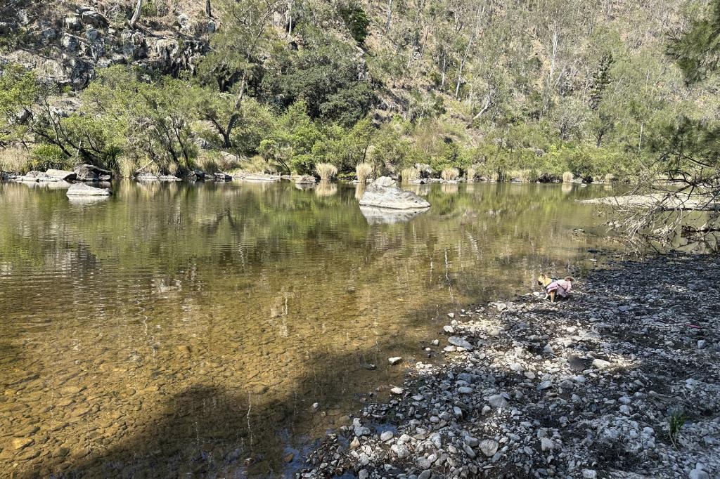 7630 Old Glen Innes Rd, Newton Boyd, NSW 2370