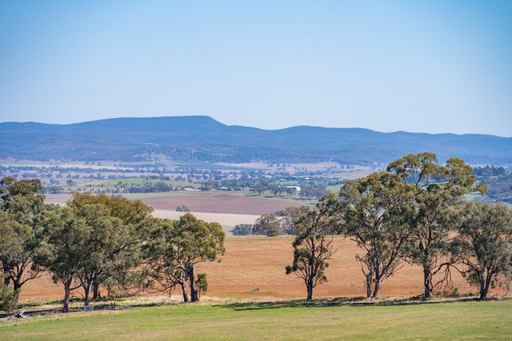 306 Moola Rd, Canowindra, NSW 2804
