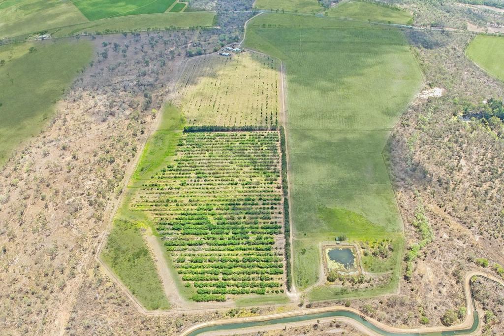 42 Seward Rd, Dimbulah, QLD 4872