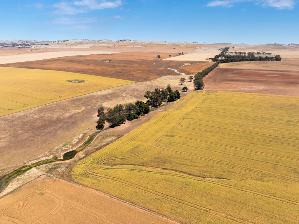 'Narrioota' Euromina Rd, Broughton River Valley, SA 5454