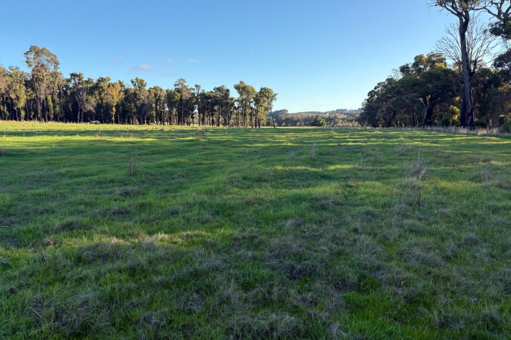 Lot 245 & Donnybrook-Boyup Brook Rd, Glen Mervyn, WA 6239