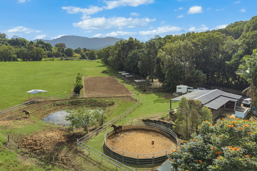 473 Numinbah Rd, Nobbys Creek, NSW 2484