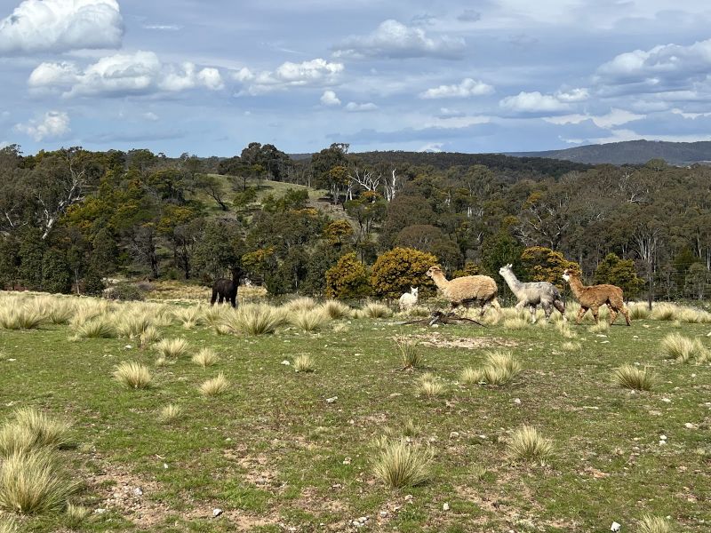 540 Marble Hill Rd, Kingsdale, NSW 2580