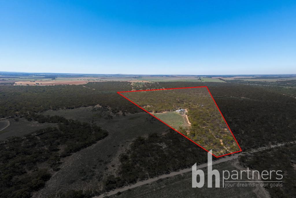 427 Codrington Rd, Mannum, SA 5238