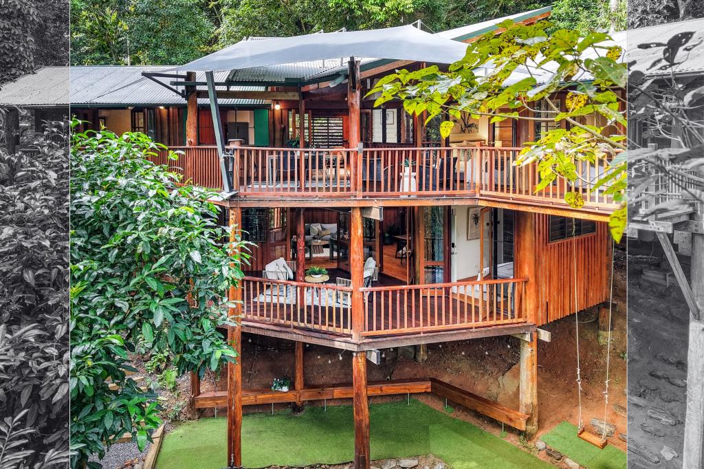19 Cananga Cl, Kamerunga, QLD 4870