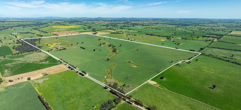 681 Emu Plains Rd, Pulletop, NSW 2650