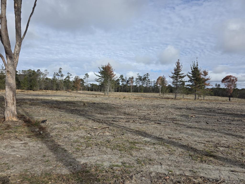 Lot 194 Prospect Cres, Sugarloaf, QLD 4380