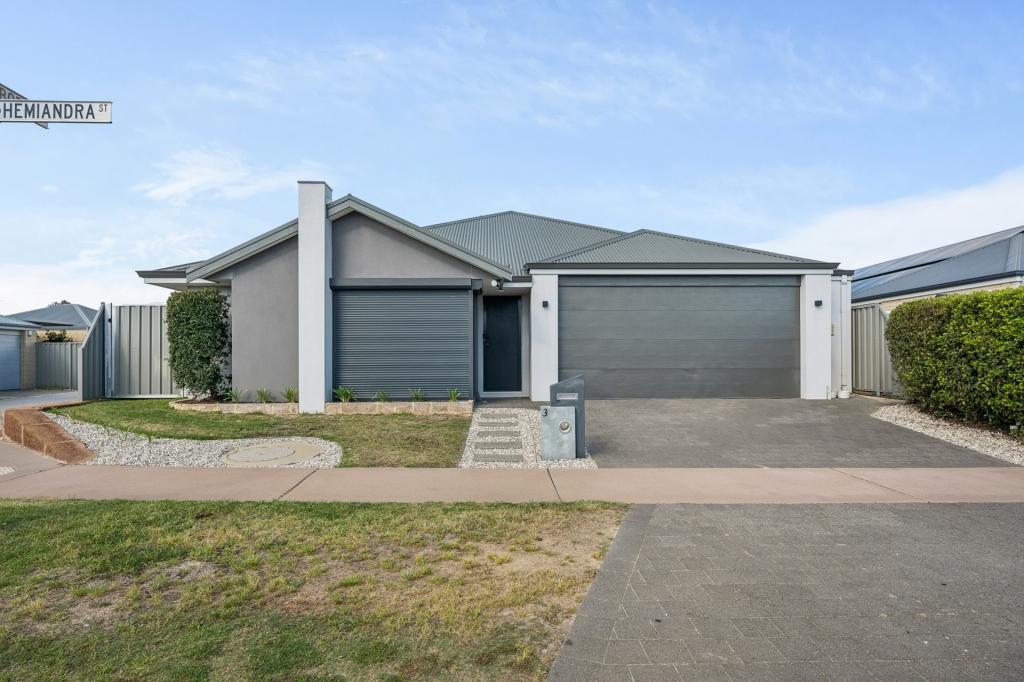 3 Hemiandra St, Byford, WA 6122