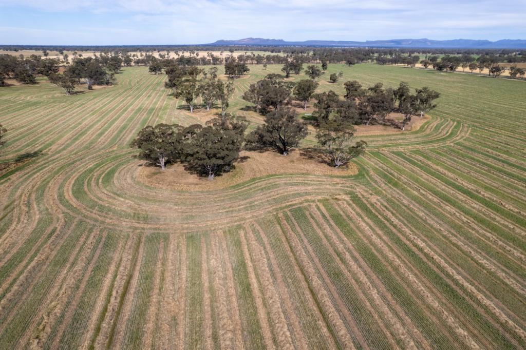 114 Nixons South Rd, Wonwondah, VIC 3401