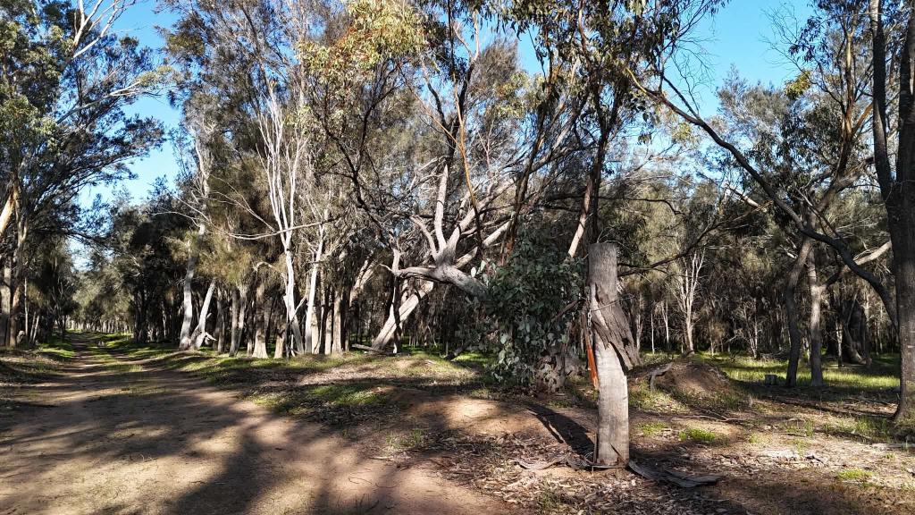 1 Haddleton Rd, Woodanilling, WA 6316