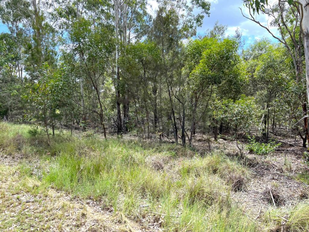 Lot 102 Mcnicholl Rd, Wattle Camp, QLD 4615