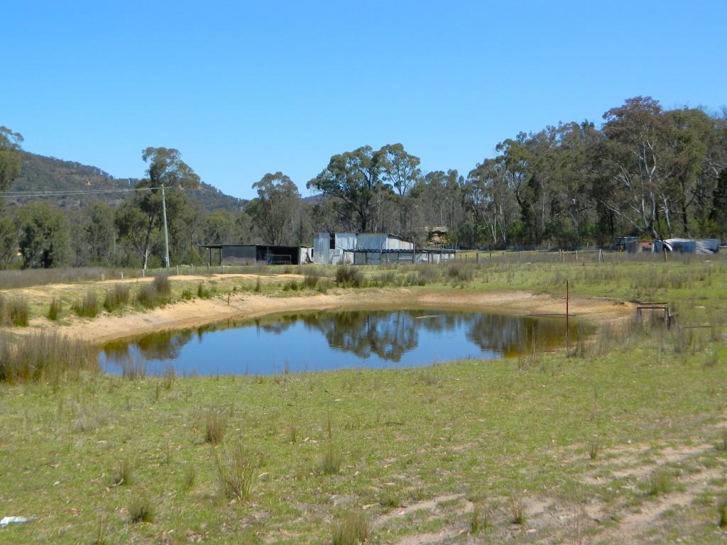 485 REEDY CREEK RD, RYLSTONE, NSW 2849