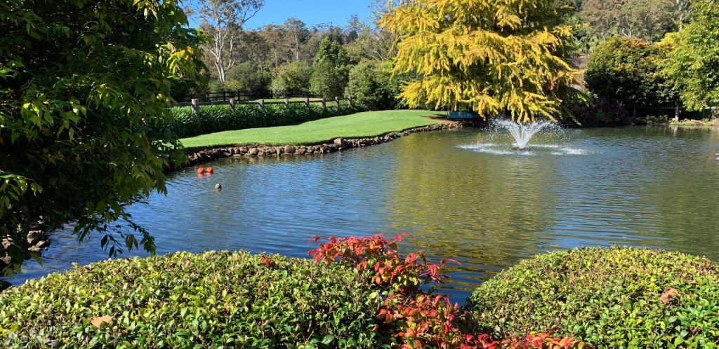 97-101 The Shelf Rd, Tamborine Mountain, QLD 4272
