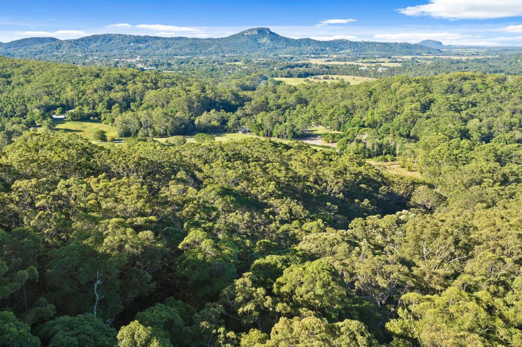 136 Wappa Falls Rd, Yandina, QLD 4561