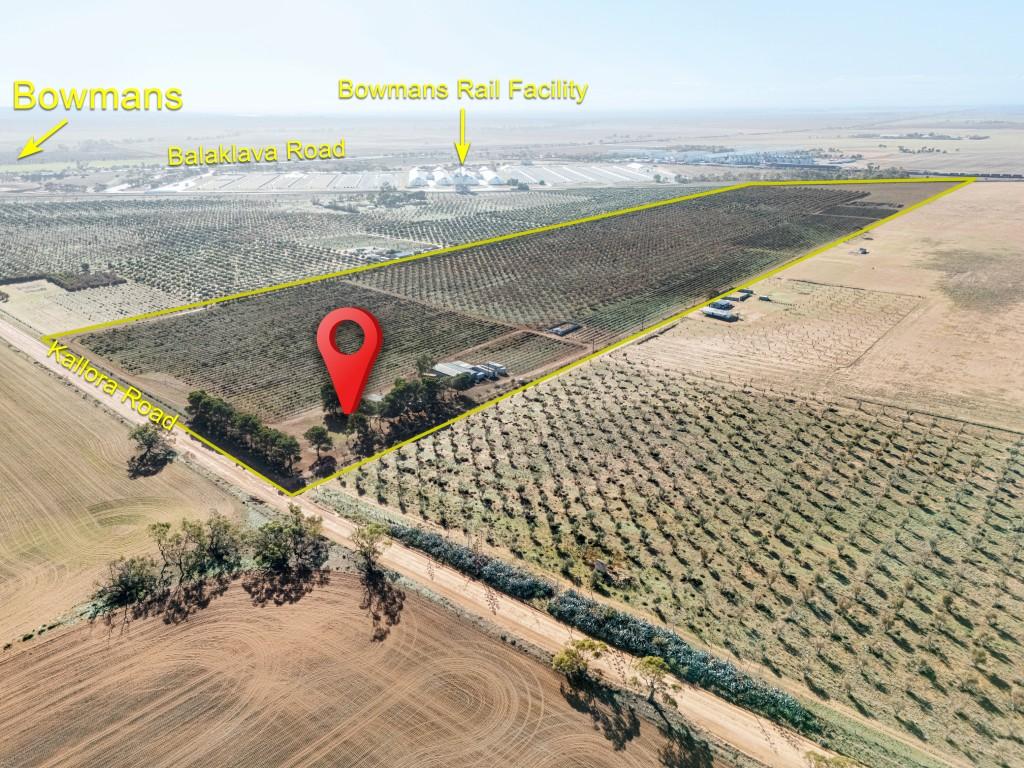 155 Kallora Rd, Bowmans, SA 5550