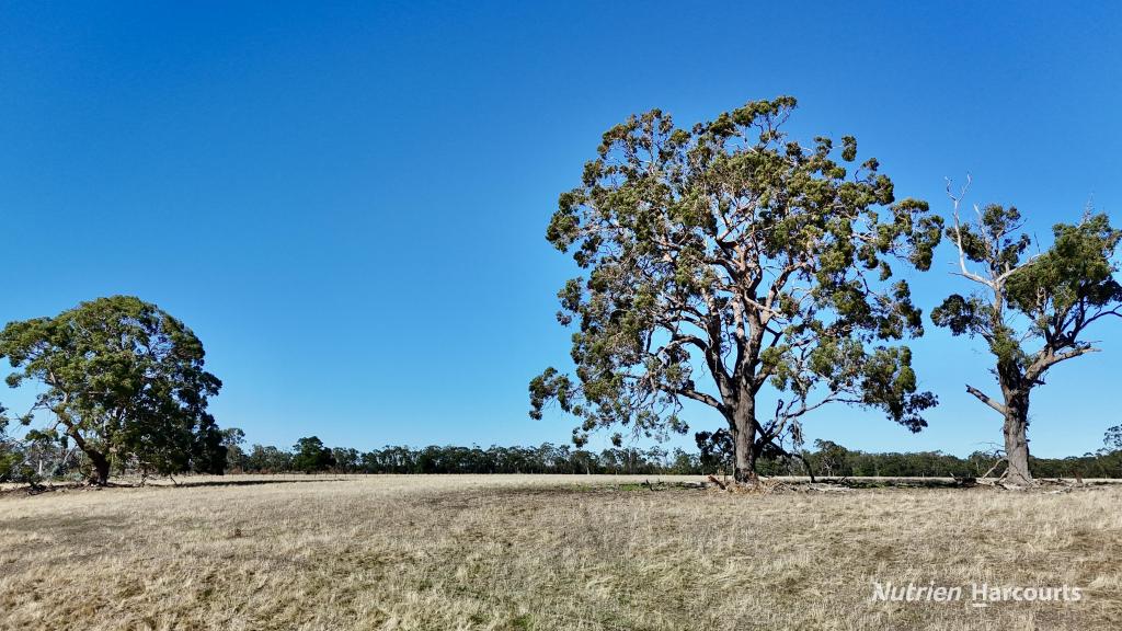 Allotment 39 Paynes Lane, Digby, VIC 3309