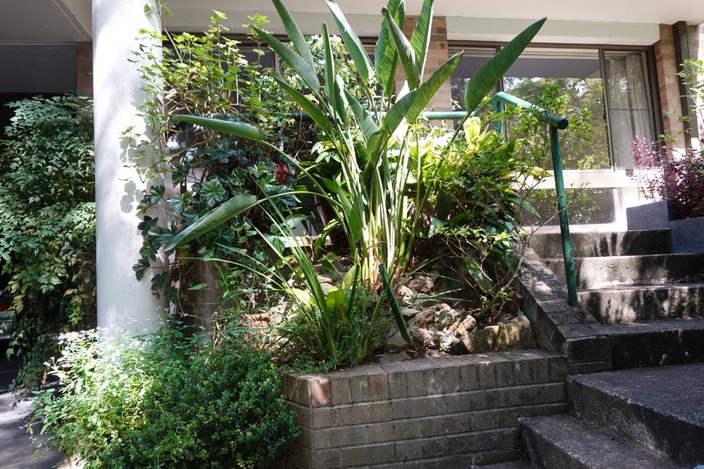 2/103 Riverview St, Riverview, NSW 2066