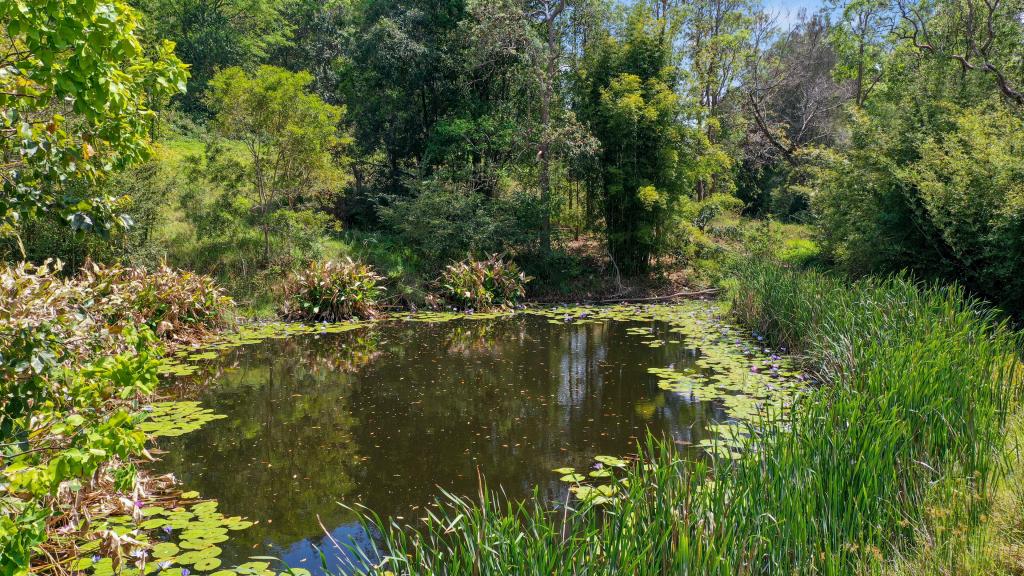 1158 Pinchin Rd, The Channon, NSW 2480