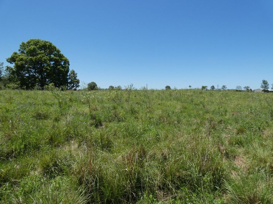 Lot 16 Hinrichs Rd, Rosedale, QLD 4674
