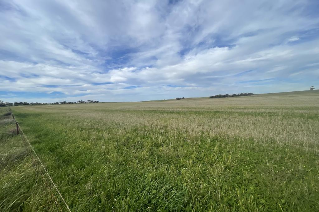 Sec 56 Barr Rd, Karoonda, SA 5307