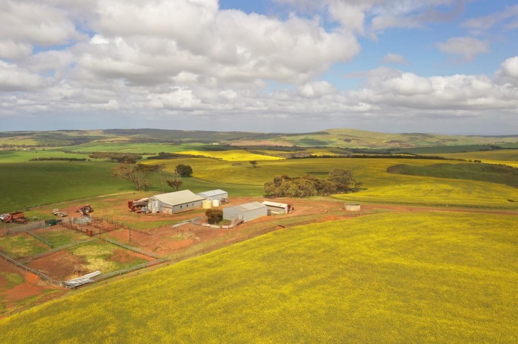 251 Reservoir Dr, Whites Flat, SA 5607