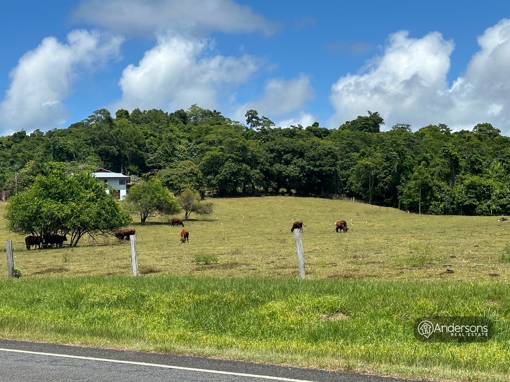 1949 Tully Mission Beach Rd, Wongaling Beach, QLD 4852