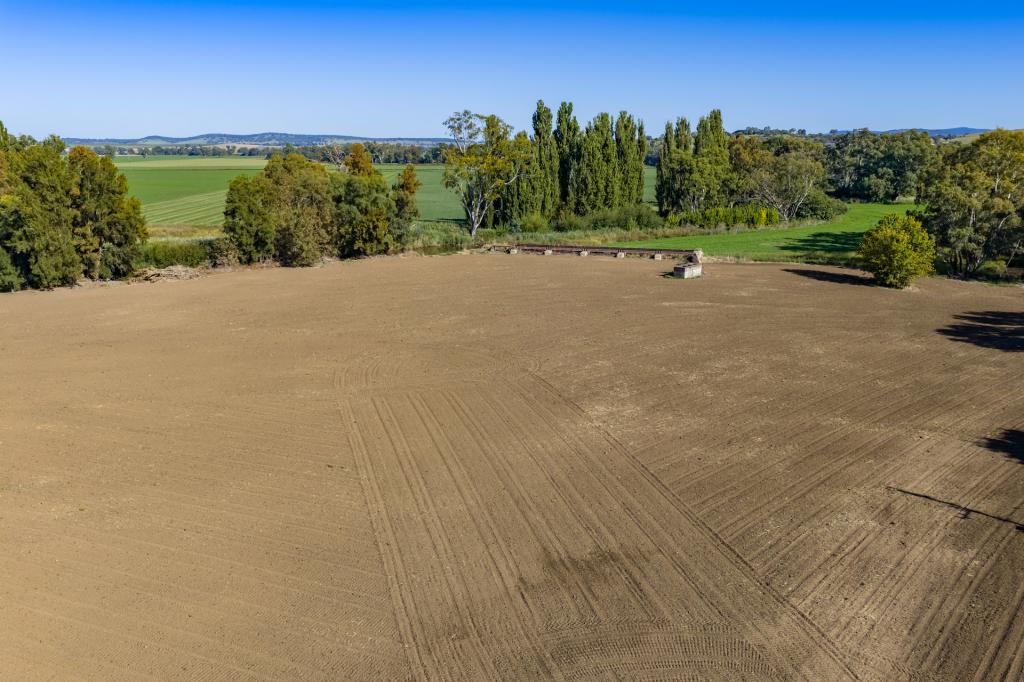 Lot 100 Gaskill St, Canowindra, NSW 2804