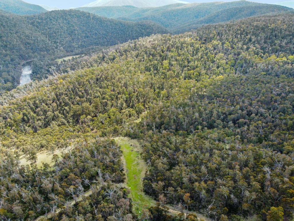 93 Lower Tablelands Rd, Benambra, VIC 3900