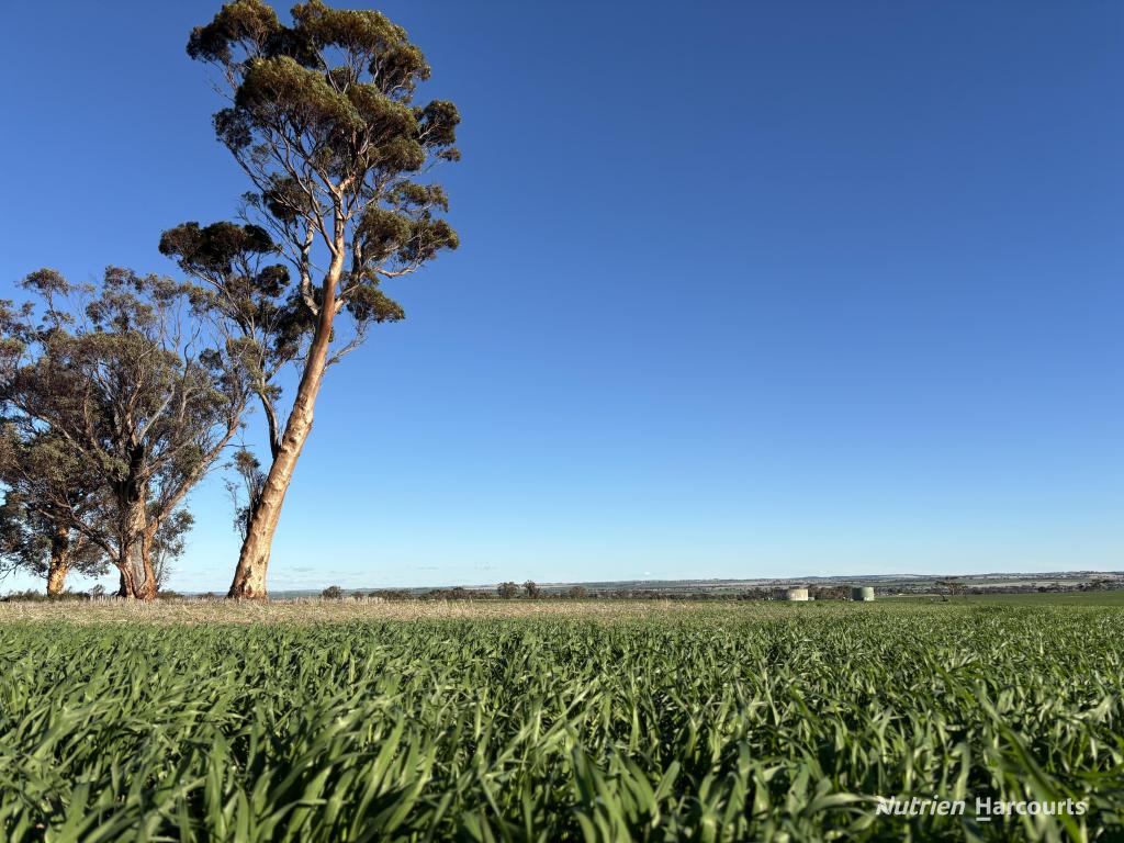 PART 'CRAIGMILE' CUBBINE RD, QUAIRADING, WA 6383