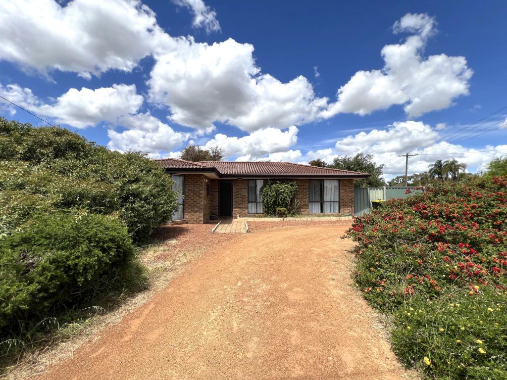 17 Lorikeet Loop, High Wycombe, WA 6057
