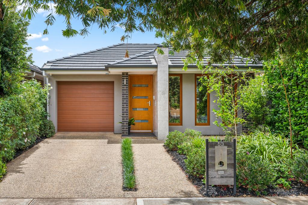 53 Craig St, Richmond, SA 5033