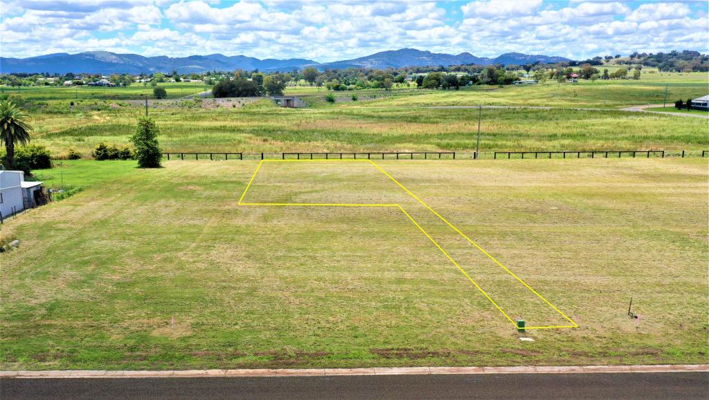 29 ROBEY AVE, QUIRINDI, NSW 2343