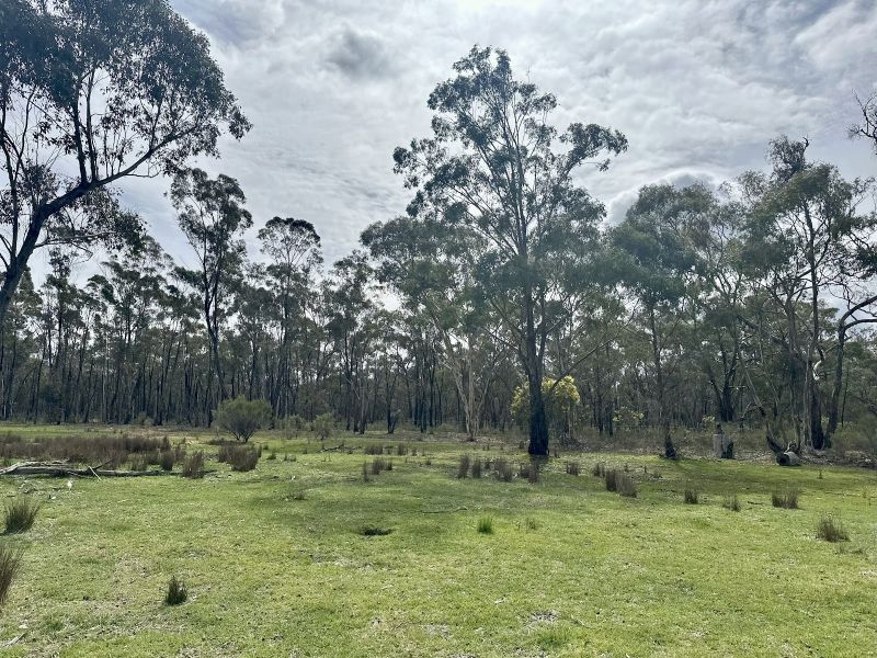 127 Wattle Trk, Adelaide Lead, VIC 3465