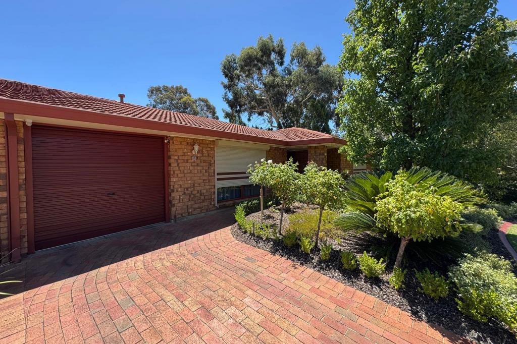 16 Derby St, Modbury Heights, SA 5092