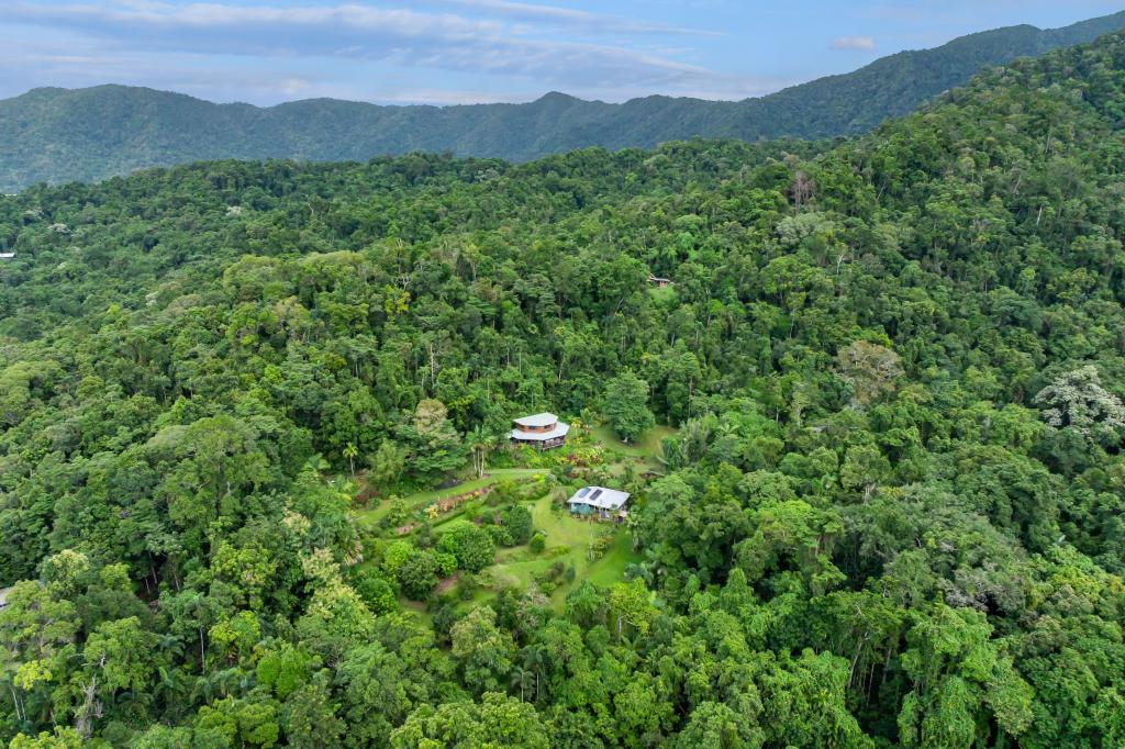 123 Ironbark Road, Diwan, Daintree, QLD 4873