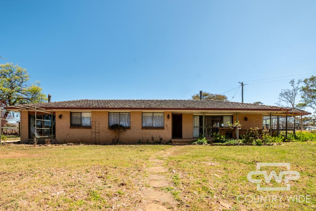 111 LLANGOTHLIN RD, GUYRA, NSW 2365