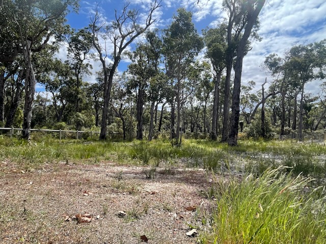 78 Karri St, Walpole, WA 6398