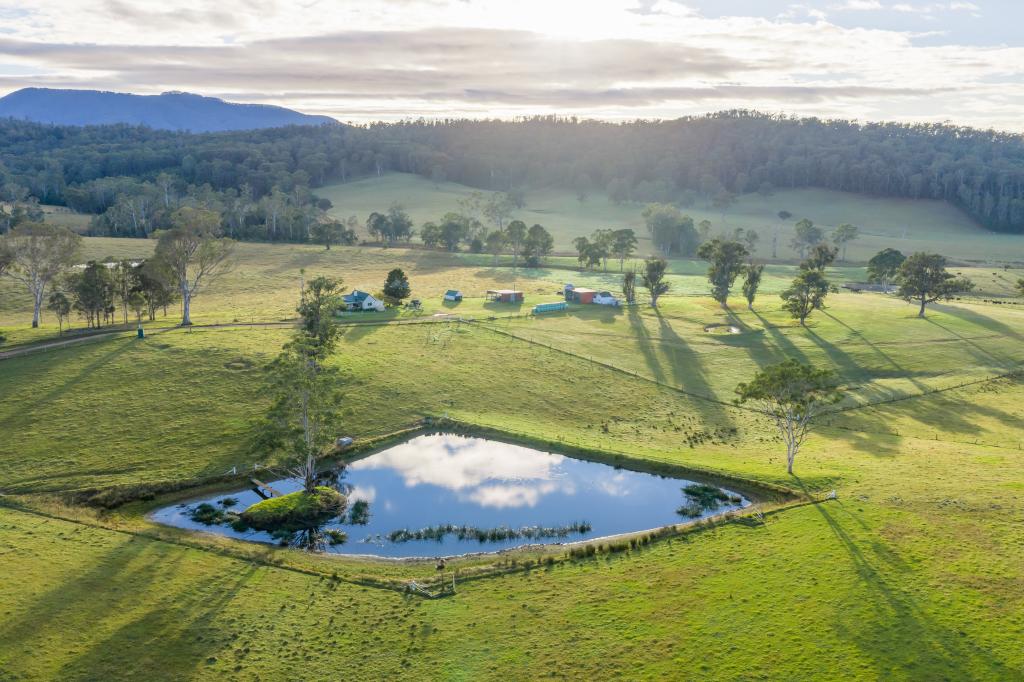 154 B Jersey Pl, Cobargo, NSW 2550