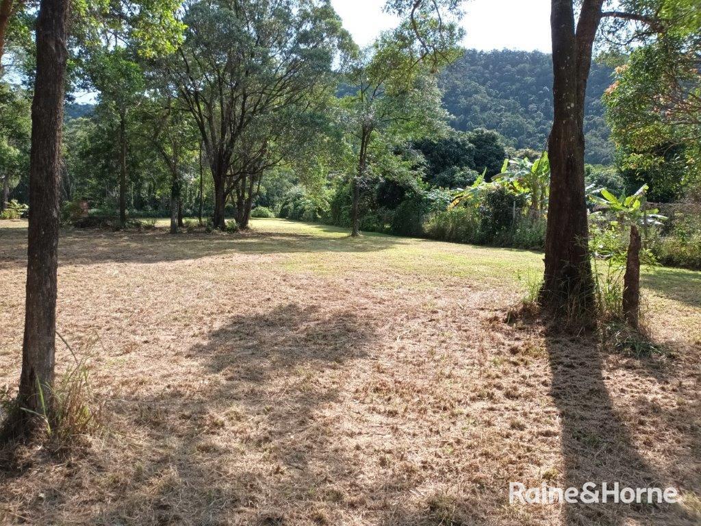 Lot 54 George Road, Forest Creek, Daintree, QLD 4873